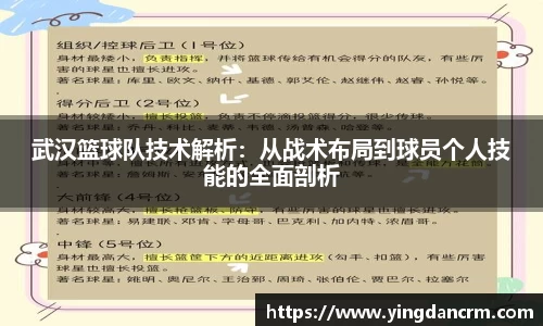 3377体育官网