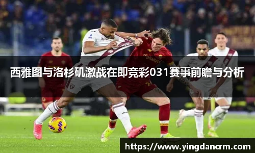 3377体育官网